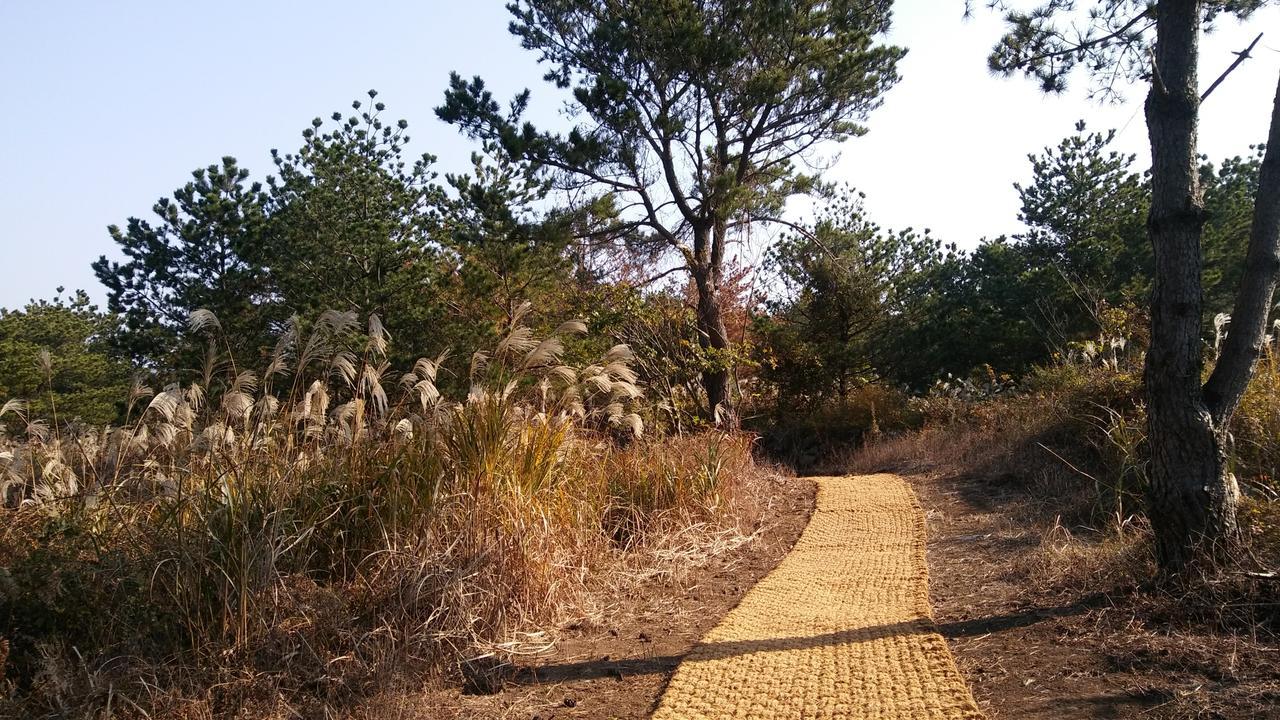 Jeju Youth Hostel Экстерьер фото