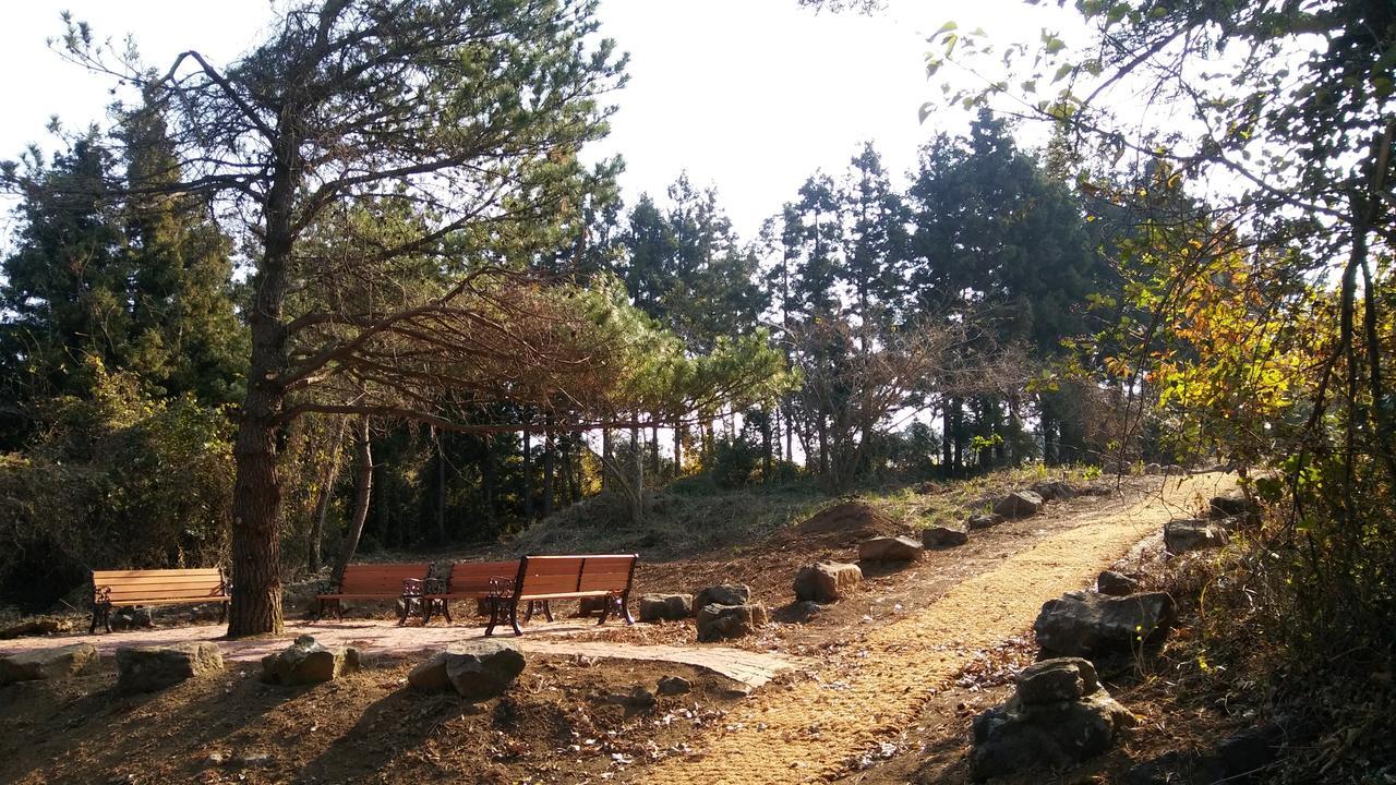 Jeju Youth Hostel Экстерьер фото