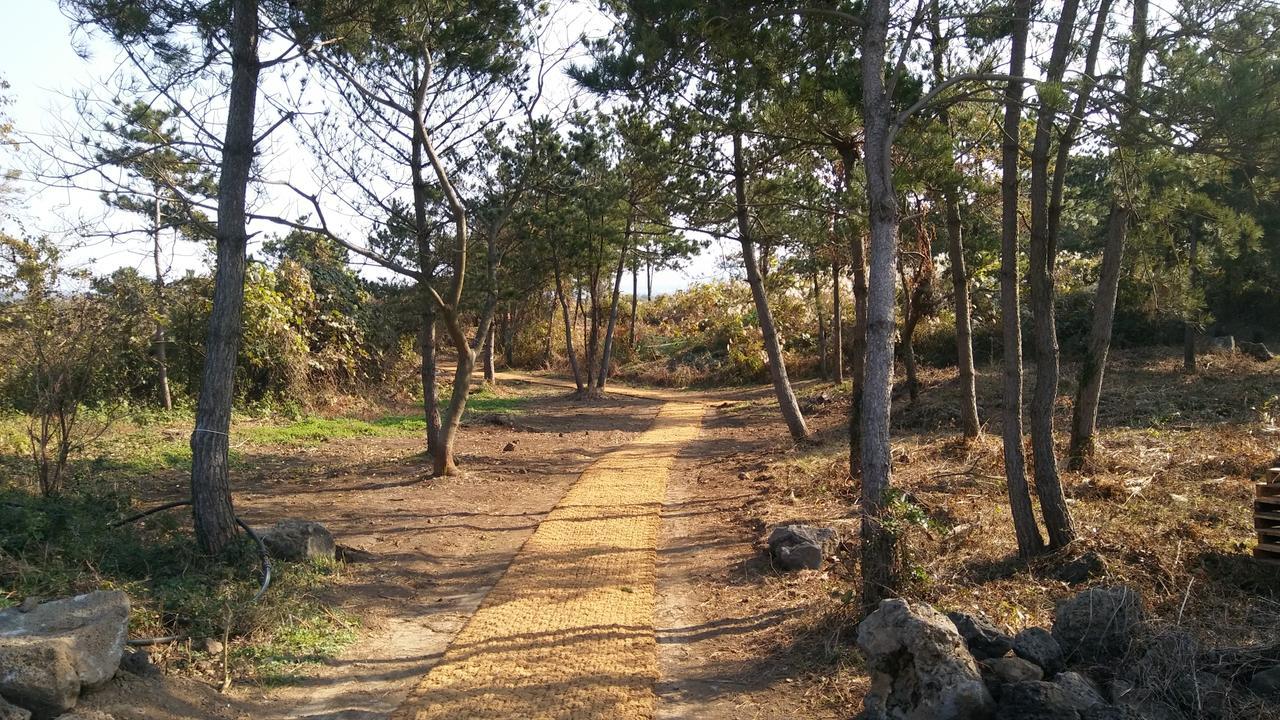 Jeju Youth Hostel Экстерьер фото