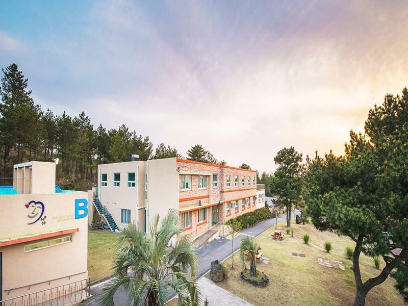 Jeju Youth Hostel Экстерьер фото